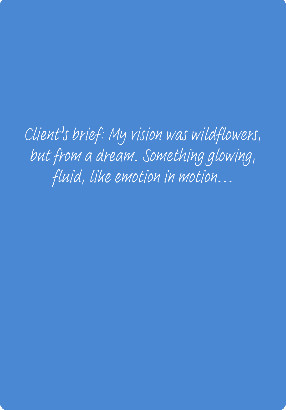 Client brief about wildflowers and dreamy sunset vision